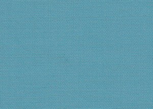 Turquoise Plain